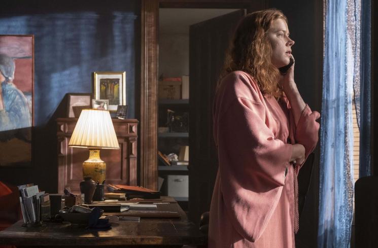 Rekomendasi Film Netflix - Woman in the Window (imdb)