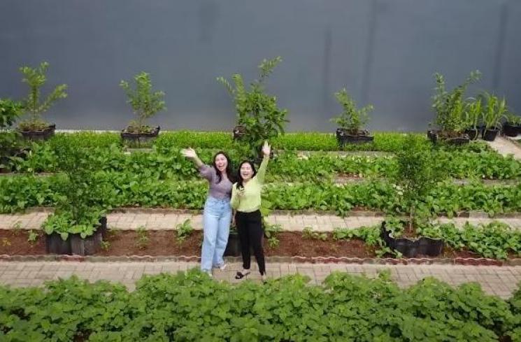 Kebun Prilly Latuconsina. (Youtube/PrillyLatuconsina)