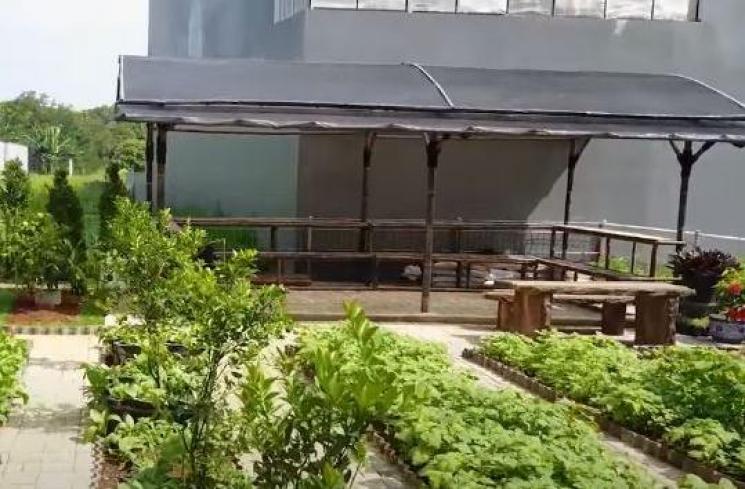 Kebun Prilly Latuconsina. (Youtube/PrillyLatuconsina)