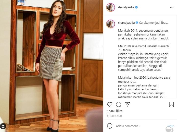 Shandy Aulia (Instagram.com)