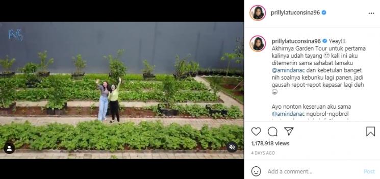 Kebun sayur milik Prilly Latuconsina (Instagram.com)