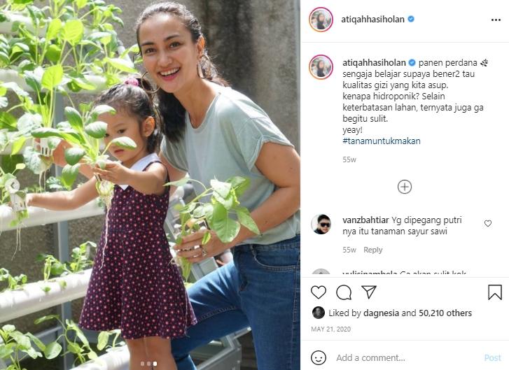 Kebun sayur milik Atiqah Hasiholan (Instagram.com)