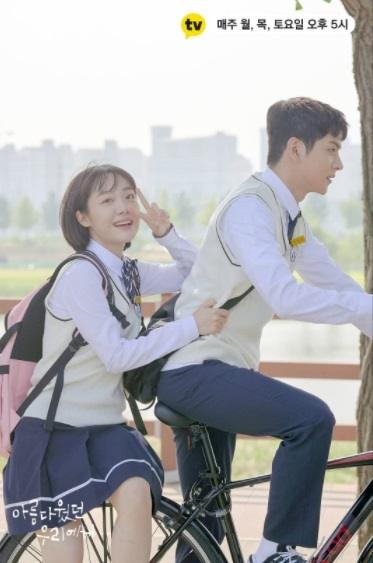 Sinopsis A Love So Beautiful (IMDb)