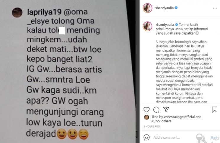 Shandy Aulia (Instagram.com)