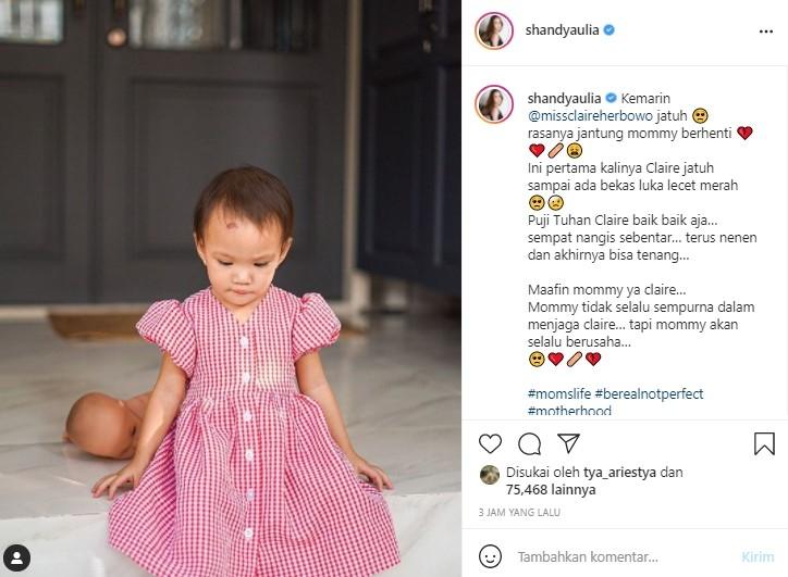 Shandy Aulia (Instagram)