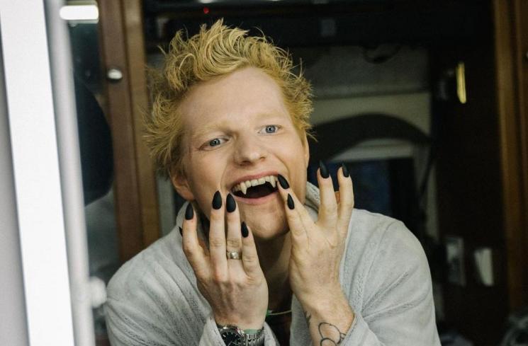 Profil Ed Sheeran (Instagram/@teddysphotos)