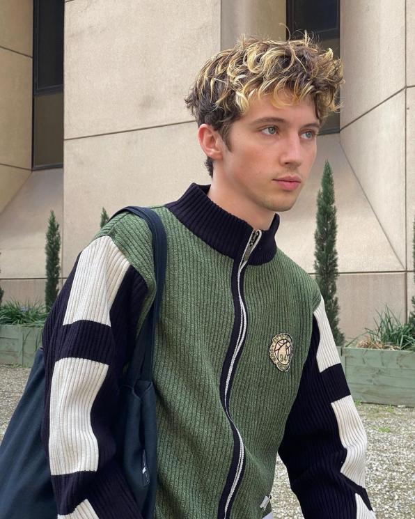 Penyanyi Kolaborasi dengan BTS (Instagram/@troyesivan)