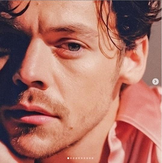 Harry Styles (Instagram)
