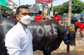 Serahkan Hewan Kurban Terbanyak, Putra Siregar Kembali Pecahkan Rekor MURI