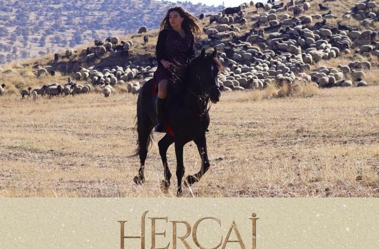 Sinopsis Hercai (Instagram/@hercaidizi)