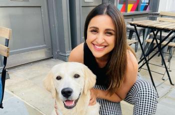8 Aktris Bollywood Ini Sukses Tembus Hollywood, Aktingnya Ciamik!