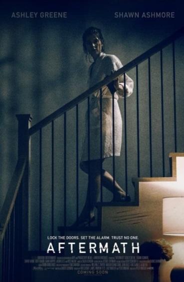Sinopsis Aftermath (IMDb)