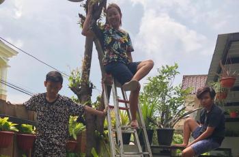 9 Potret Rumah Soimah di Jakarta dan Yogyakarta: Punya Banyak Koleksi Tanaman