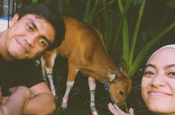 10 Momen Ulang Tahun Ayudia Bing Slamet ke-31: Dikado Anak Sapi!