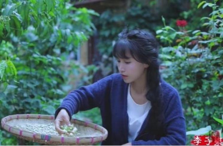 Li Ziqi YouTuber China. [YouTube/Liziqi]