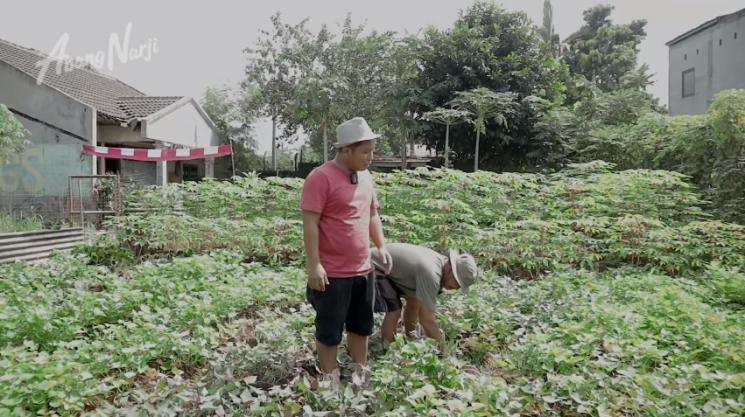 Potret Narji Jadi Petani (YouTube/Abang Narji)