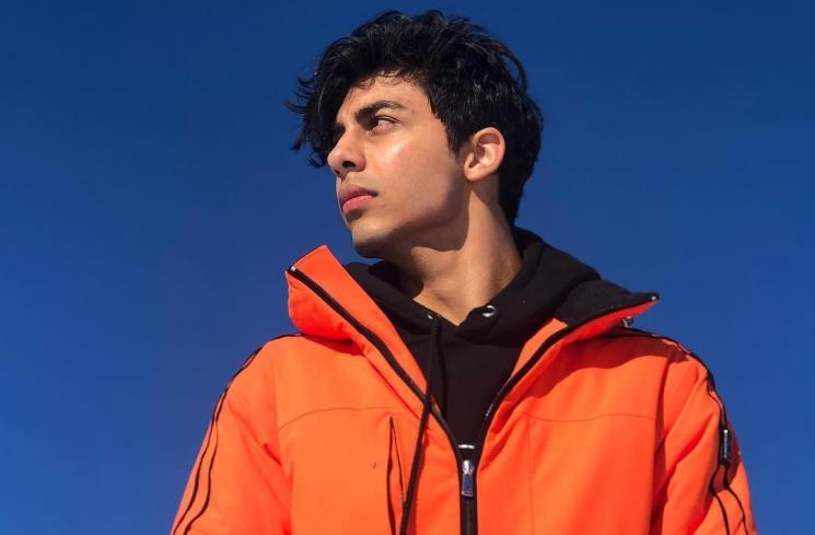 Fakta Aryan Khan (Instagram/@___aryan__)