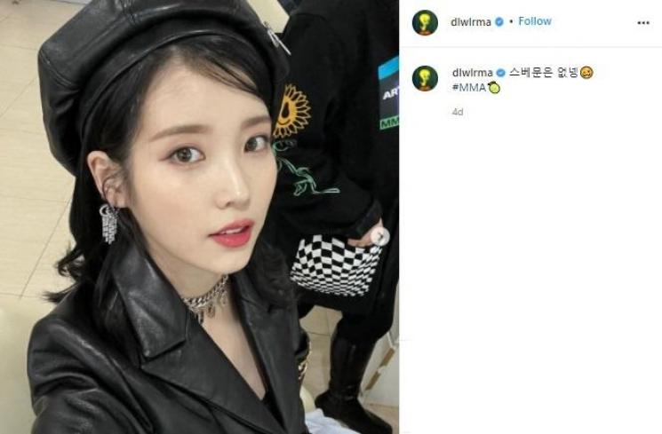 Seleb Korea dengan Username Instagram Terunik (Instagram/@dlwlrma)