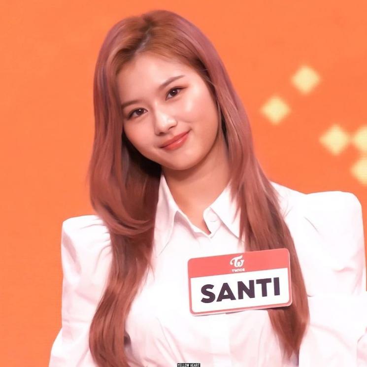 Fakta Sana TWICE (Instagram/@sana.minatozaki_)