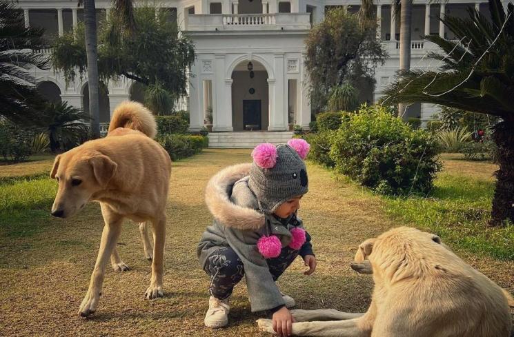 Potret Tampak Depan Pataudi Palace (Instagram/@sakpataudi)