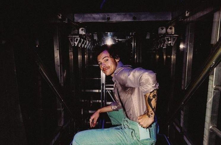 Potret dan Profil Harry Styles. (Instagram/harrystyles)