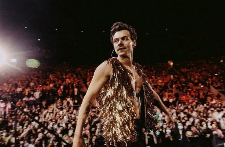 Potret dan Profil Harry Styles. (Instagram/harrystyles)