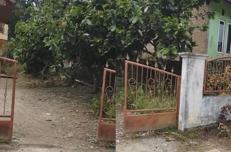 Potret Rumah Haji Faisal di Kampung (tiktok/@kurniawanazrai)