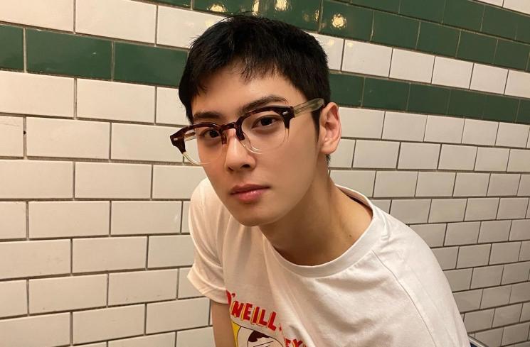  Profil Cha Eun Woo ASTRO (instagram/@eunwo.o_c)
