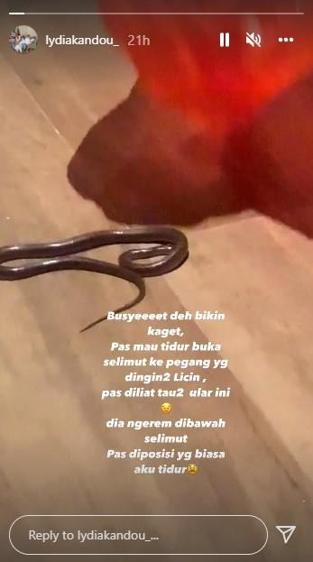 Ular di rumah Lydia Kandou. (Instagram/lydiakandou_)