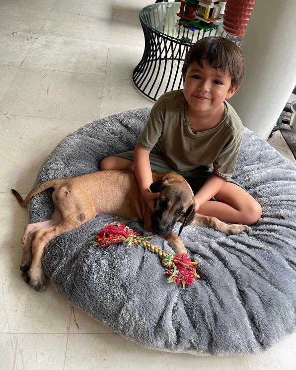 Potret Terbaru El Barack (Instagram/@v.andrianto)
