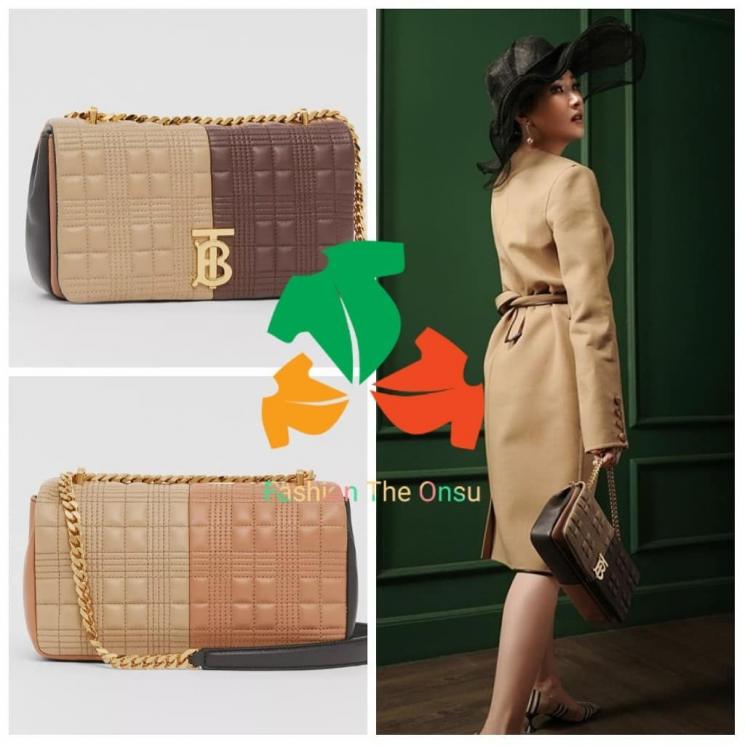 Koleksi Tas Mewah Sarwendah (Instagram/@fashion_theonsu)