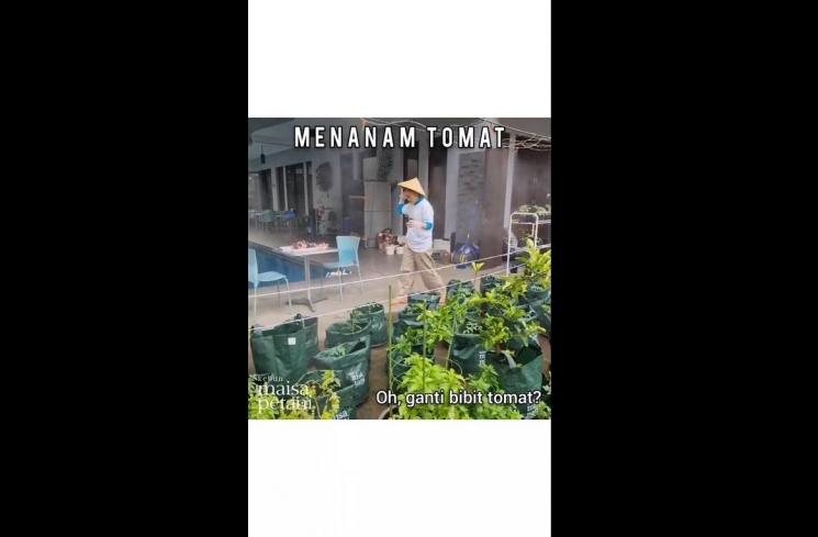 Potret kakak Sheryl Sheinafia bertani (Instagram/@maisapetani)