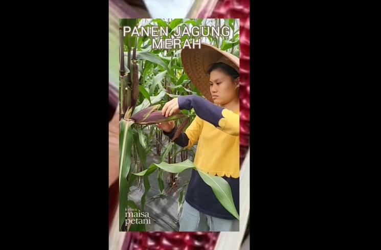 Potret kakak Sheryl Sheinafia bertani (Instagram/@maisapetani)