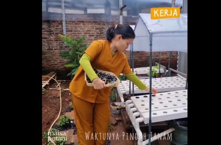 Potret kakak Sheryl Sheinafia bertani (Instagram/@maisapetani)