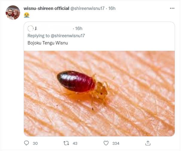 Guyonan Teuku Wisnu. (Twitter/shireenwisnu17)