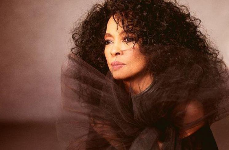 Musisi yang Belum Pernah Menang Grammy (Instagram/dianaross)