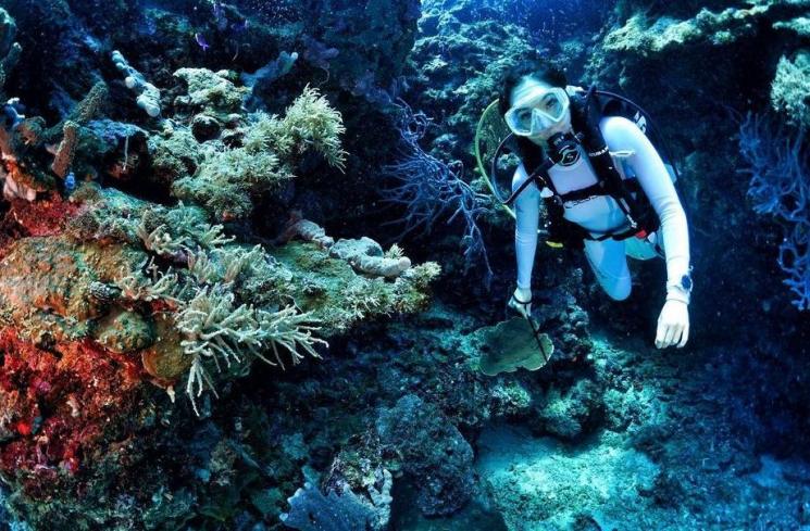 Potret Gisella Anastasia di Laut Parigi Moutong (instagram/@gisel_la)