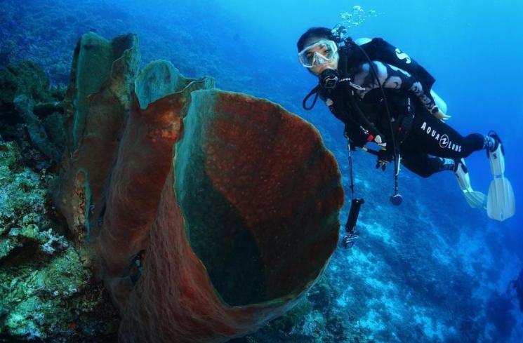 Potret Gisella Anastasia di Laut Parigi Moutong (instagram/@gisel_la)