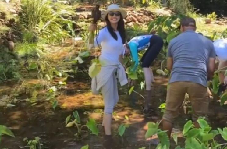 Momen Raline Shah Panen Talas di Hawaii. (Instagram/ralineshah)