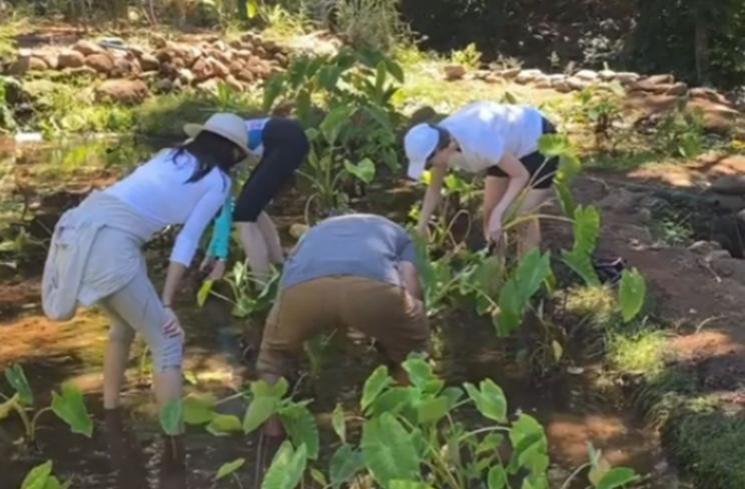 Momen Raline Shah Panen Talas di Hawaii. (Instagram/ralineshah)