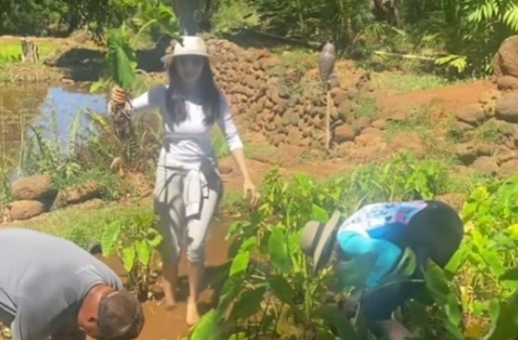 Momen Raline Shah Panen Talas di Hawaii. (Instagram/ralineshah)