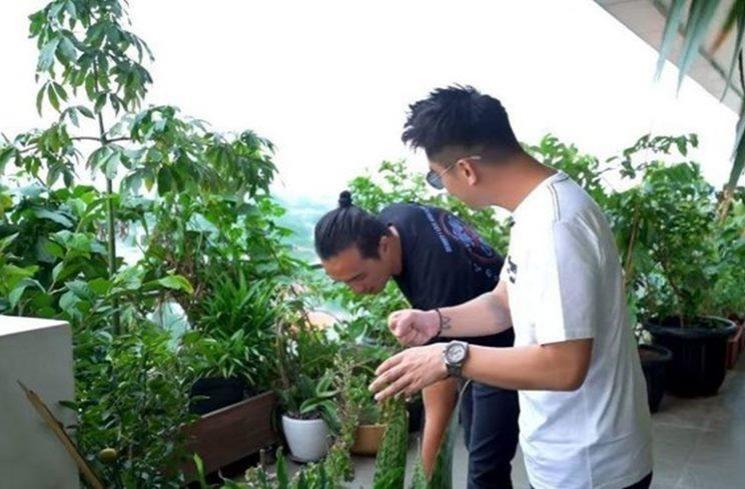Potret Kebun Sayur di Rumah Artis. (YouTube/Boy William)