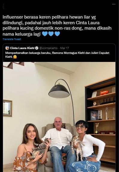 Cinta Laura adopsi kucing. (Twitter)