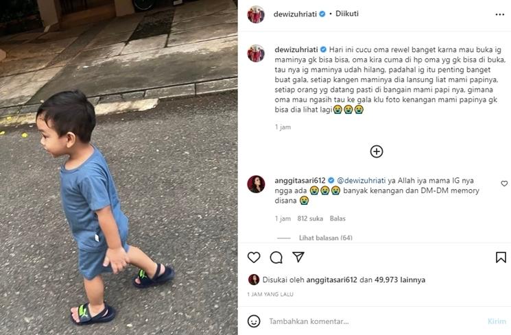 Ibu mertua Vanessa Angel, Dewi Zuhriati mengabarkan akun Instagram Vanessa Angel hilang. (Instagram)