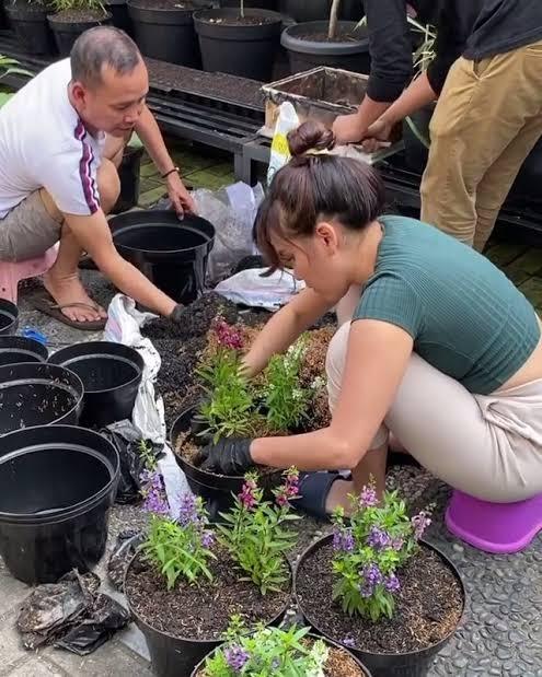 Gaya Penyanyi Saat Berkebun(Instagram/@ayutingting92)