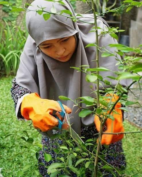 Gaya Penyanyi Saat Berkebun(Instagram/@tantrisyalindri)