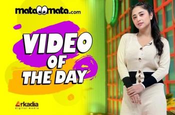 Video of The Day: Dewi Perssik Ditodong Bukti Kehamilan, Nikita Mirzani Latihan Tinju