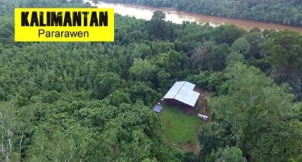 Potret Rumah Andrew Kalaweit. (YouTube/Chanee Kalaweit)