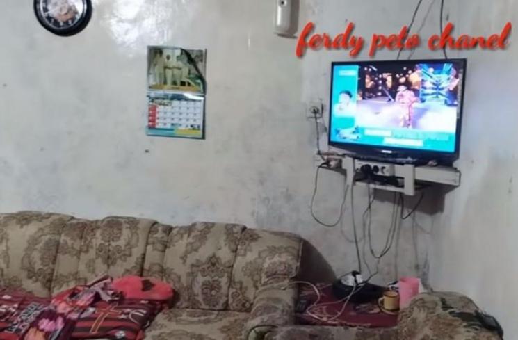 Rumah Betrand Peto di Manggarai NTT (YouTube Ferdy Peto)