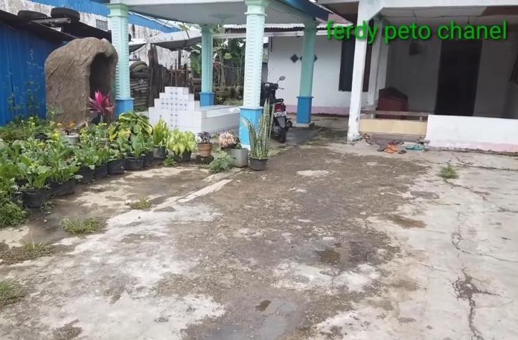 Rumah Betrand Peto di Manggarai NTT (YouTube Ferdy Peto)